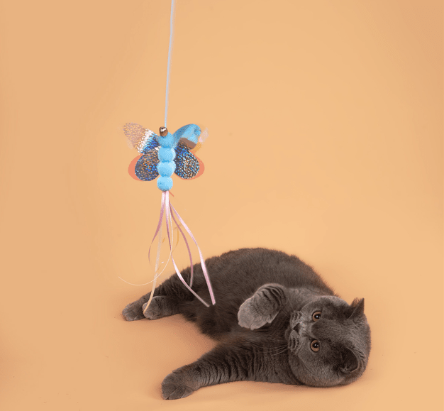 Pet FurrE Butterfly Toy