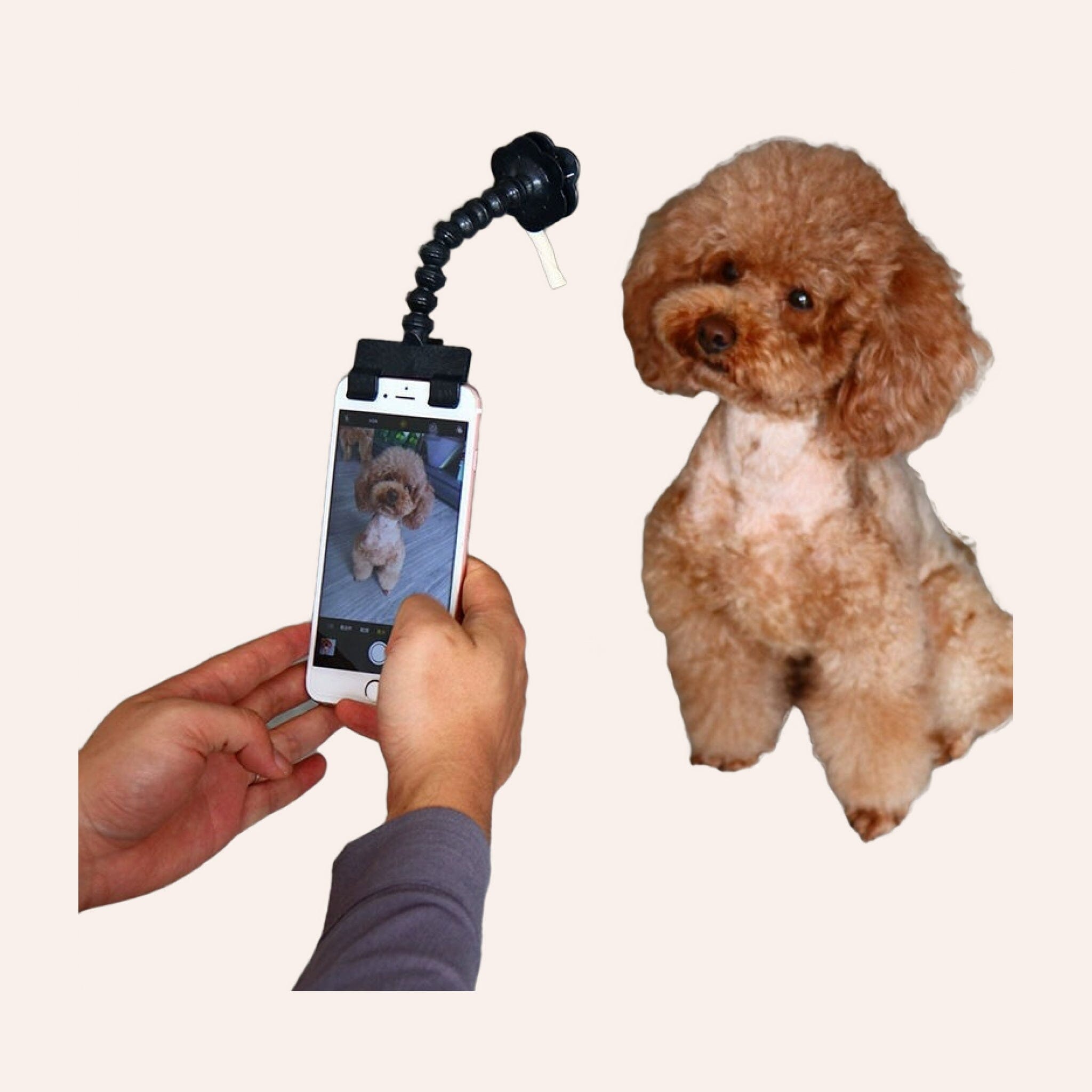 Pet FurrE Selfie Stick